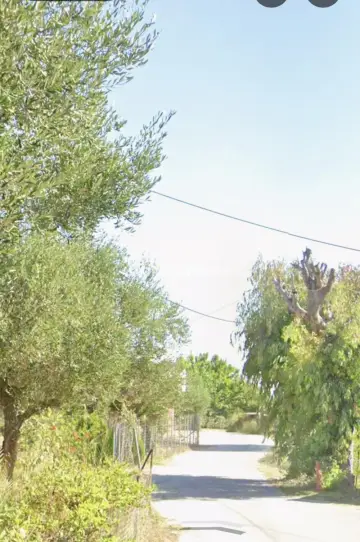 Residential 1155m<sup>2</sup> for sale photo 18