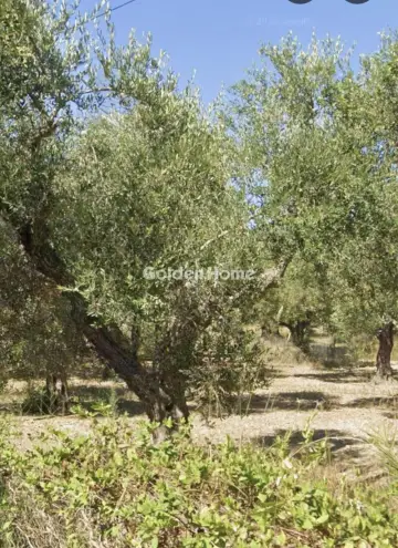 Residential 1155m<sup>2</sup> for sale photo 22