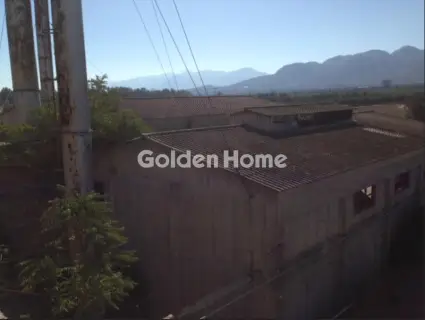 Golden Home Property Image