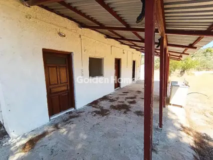 House 55m<sup>2</sup> for rent photo 5119538
