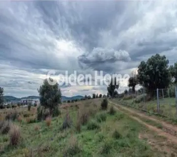 Professional Plot 1615m<sup>2</sup> for sale photo 2