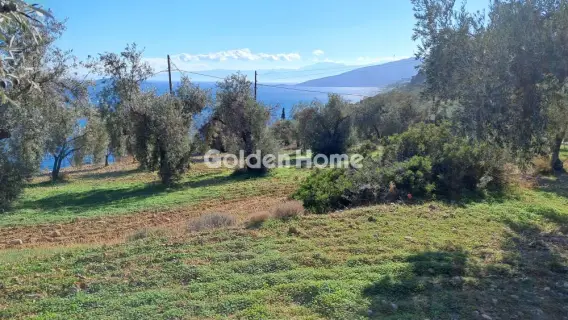 Golden Home Property Image