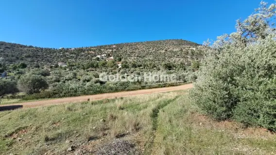 Residential 4328m<sup>2</sup> for sale photo 5143246