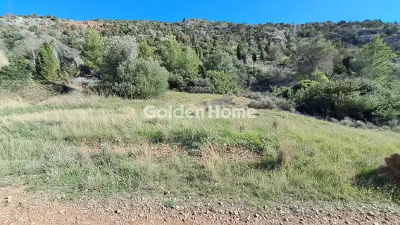 Residential 4328m<sup>2</sup> for sale photo 5143247