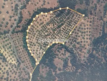 Parcel 20000m<sup>2</sup> for sale photo 5122397