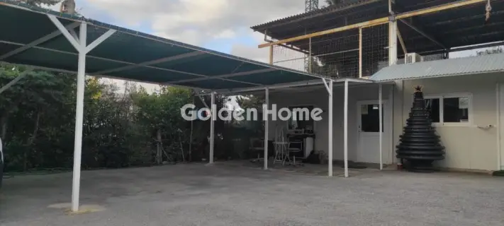 Golden Home Property Image