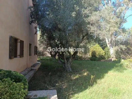Μονοκατοικία 755τ.μ. προς πώληση φωτογραφία 9