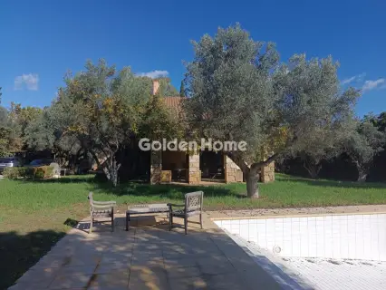 Μονοκατοικία 755τ.μ. προς πώληση φωτογραφία 10