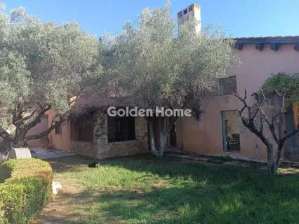 Μονοκατοικία 755τ.μ. προς πώληση φωτογραφία 11