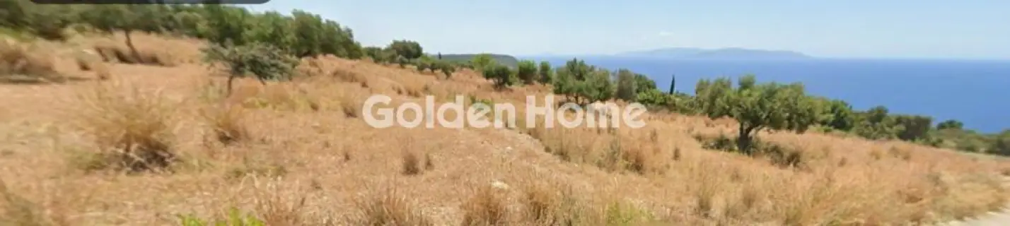 Οικιστικό 9600τ.μ. προς πώληση φωτογραφία 5129427
