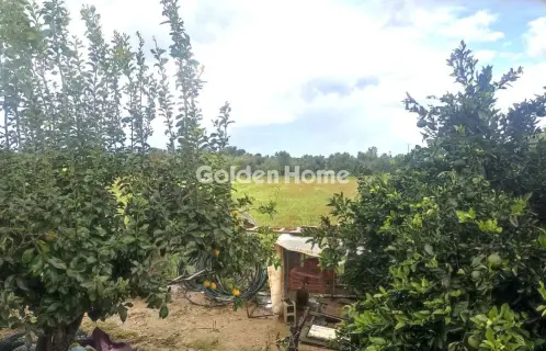 Διαμέρισμα 100τ.μ. προς πώληση φωτογραφία 4