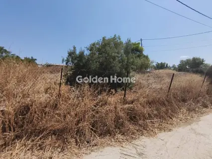 Αγροτεμάχιο 161τ.μ. προς πώληση φωτογραφία 5590723