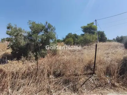 Αγροτεμάχιο 161τ.μ. προς πώληση φωτογραφία 5590725