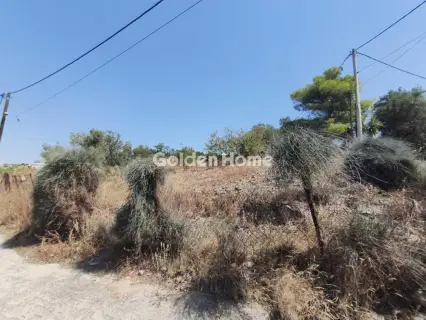 Αγροτεμάχιο 161τ.μ. προς πώληση φωτογραφία 5590727