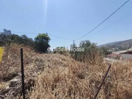 Αγροτεμάχιο 161τ.μ. προς πώληση φωτογραφία 5590726