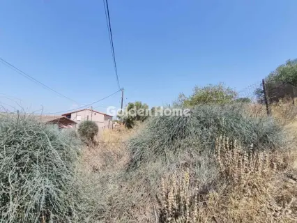 Αγροτεμάχιο 161τ.μ. προς πώληση φωτογραφία 5590728