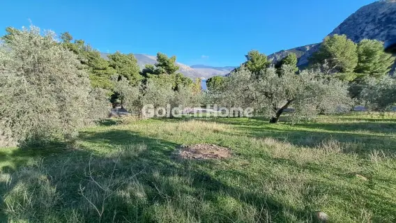 Residential 1564m<sup>2</sup> for sale photo 5146751