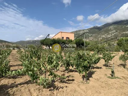 Golden Home Property Image