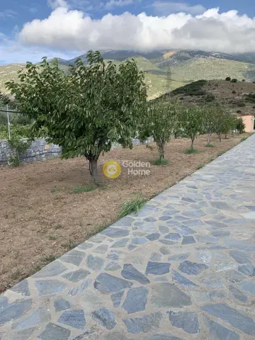 Μονοκατοικία 200τ.μ. προς πώληση φωτογραφία 5127265