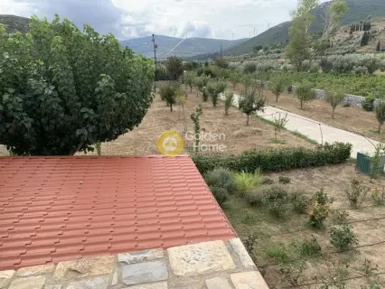 Μονοκατοικία 200τ.μ. προς πώληση φωτογραφία 5127266