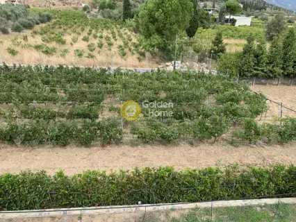 Μονοκατοικία 200τ.μ. προς πώληση φωτογραφία 5127267