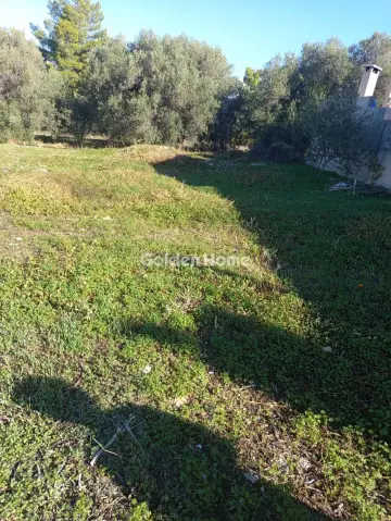 Οικιστικό 480τ.μ. προς πώληση φωτογραφία 1