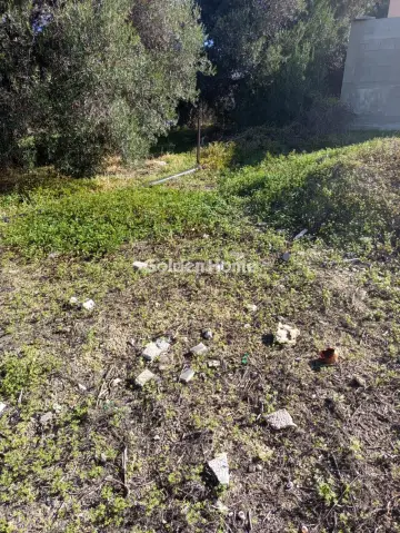 Οικιστικό 480τ.μ. προς πώληση φωτογραφία 2