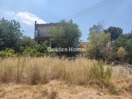 Professional Plot 4485m<sup>2</sup> for sale photo 6