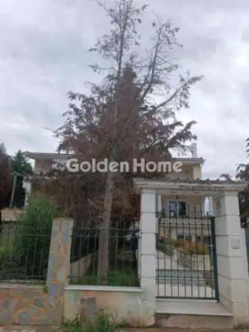Golden Home Property Image