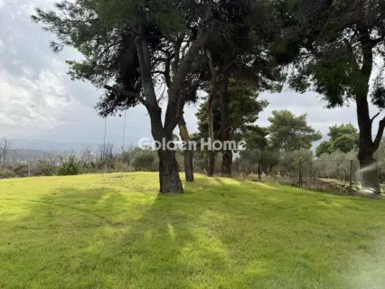 住宅 4785m<sup>2</sup> for sale photo 2