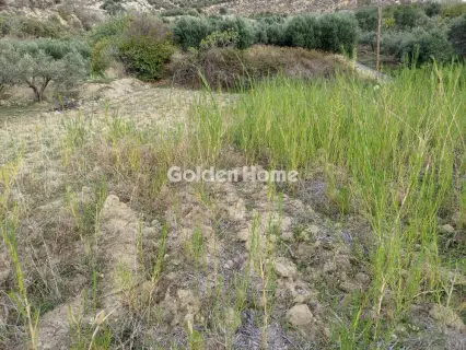 Residential 924m<sup>2</sup> for sale photo 3