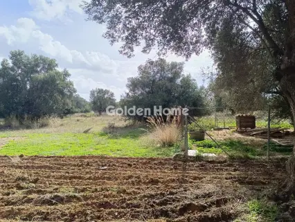 Parcel 500m<sup>2</sup> for sale photo 10