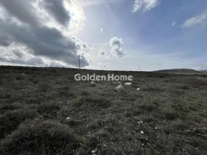 Οικιστικό 7400τ.μ. προς πώληση φωτογραφία 2