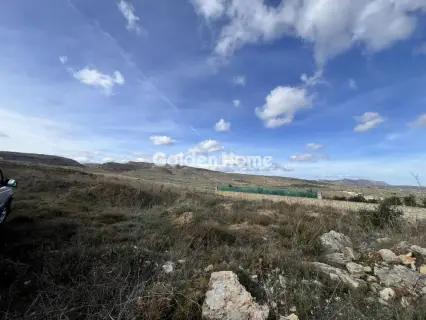 Οικιστικό 7400τ.μ. προς πώληση φωτογραφία 4