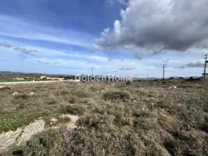 Οικιστικό 7400τ.μ. προς πώληση φωτογραφία 6