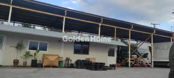 Golden Home Property Image