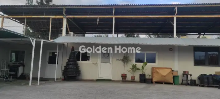 Golden Home Property Image