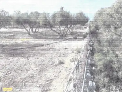 住宅 4000m<sup>2</sup> for sale photo 1