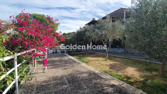 Μονοκατοικία 320τ.μ. προς πώληση φωτογραφία 2