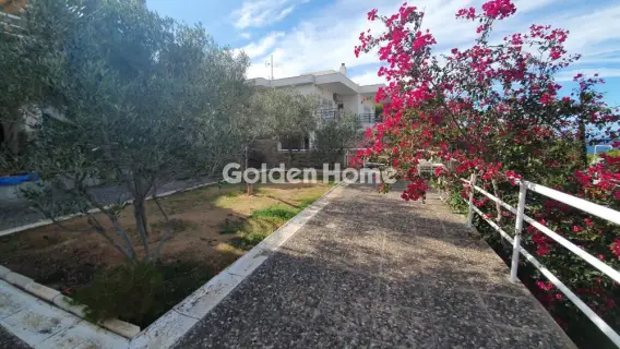 Μονοκατοικία 320τ.μ. προς πώληση φωτογραφία 59