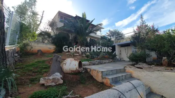 Μονοκατοικία 320τ.μ. προς πώληση φωτογραφία 69