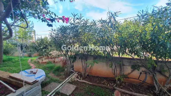 Μονοκατοικία 320τ.μ. προς πώληση φωτογραφία 66
