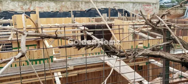 Οροφομεζονέτα 128τ.μ. προς πώληση φωτογραφία 5252209
