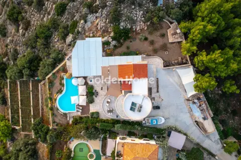 Golden Home Property Image