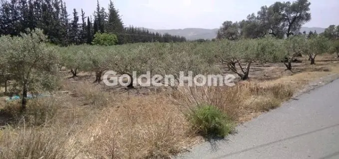 Golden Home Property Image