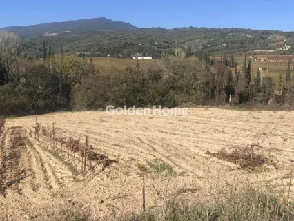 Επαγγελ. Οικόπεδο 10000τ.μ. προς πώληση φωτογραφία 7