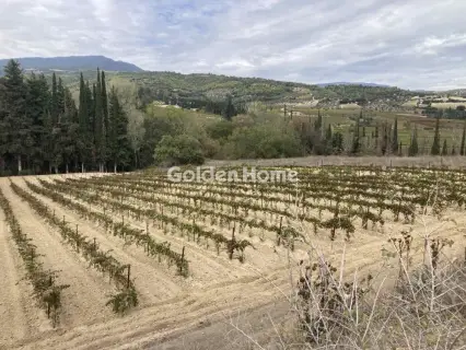 Επαγγελ. Οικόπεδο 10000τ.μ. προς πώληση φωτογραφία 1