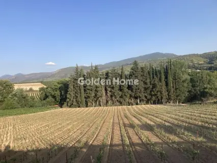 Επαγγελ. Οικόπεδο 10000τ.μ. προς πώληση φωτογραφία 2