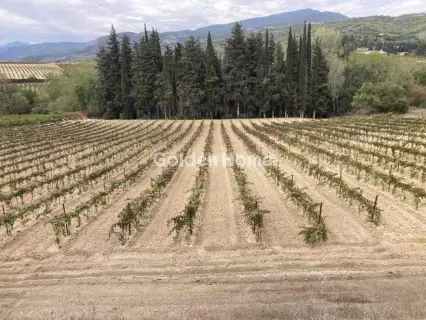 Επαγγελ. Οικόπεδο 10000τ.μ. προς πώληση φωτογραφία 6