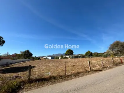 Επαγγελ. Οικόπεδο 12108τ.μ. προς πώληση φωτογραφία 1